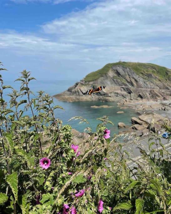 Paramount Apartments Ilfracombe, Arty Seaside Holiday Apartments Exterior foto